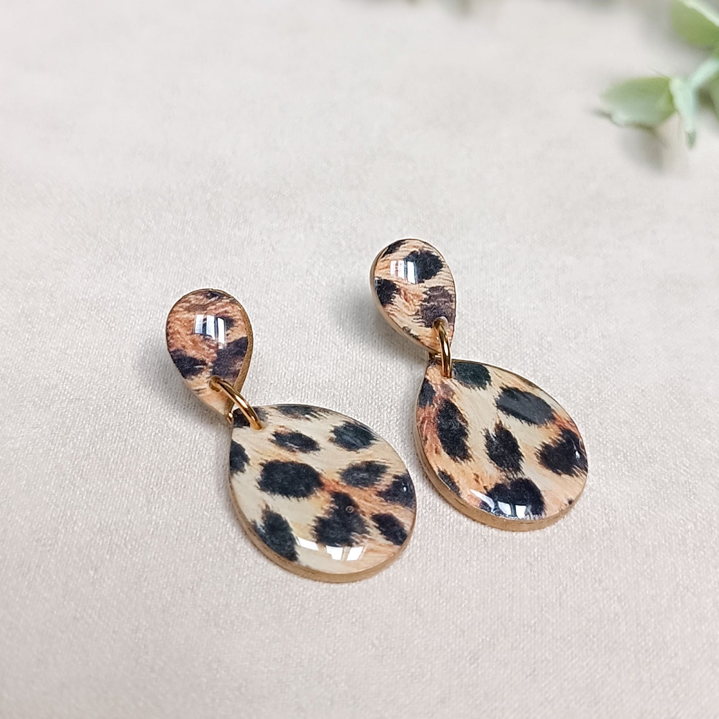 Leopard 5