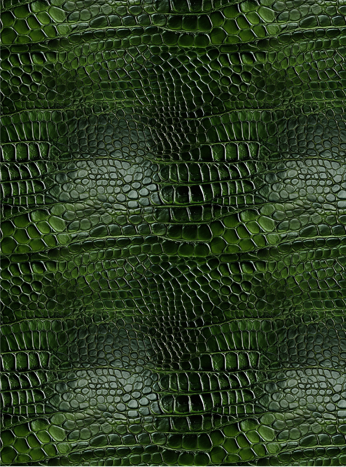 Crocodile transfer paper 6