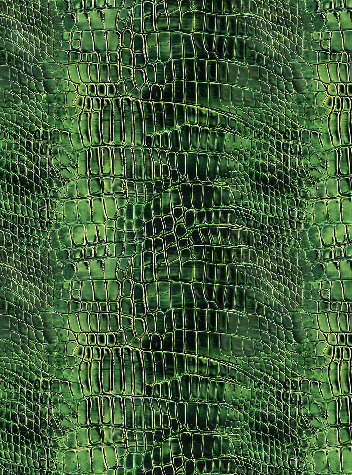 Crocodile transfer paper 16