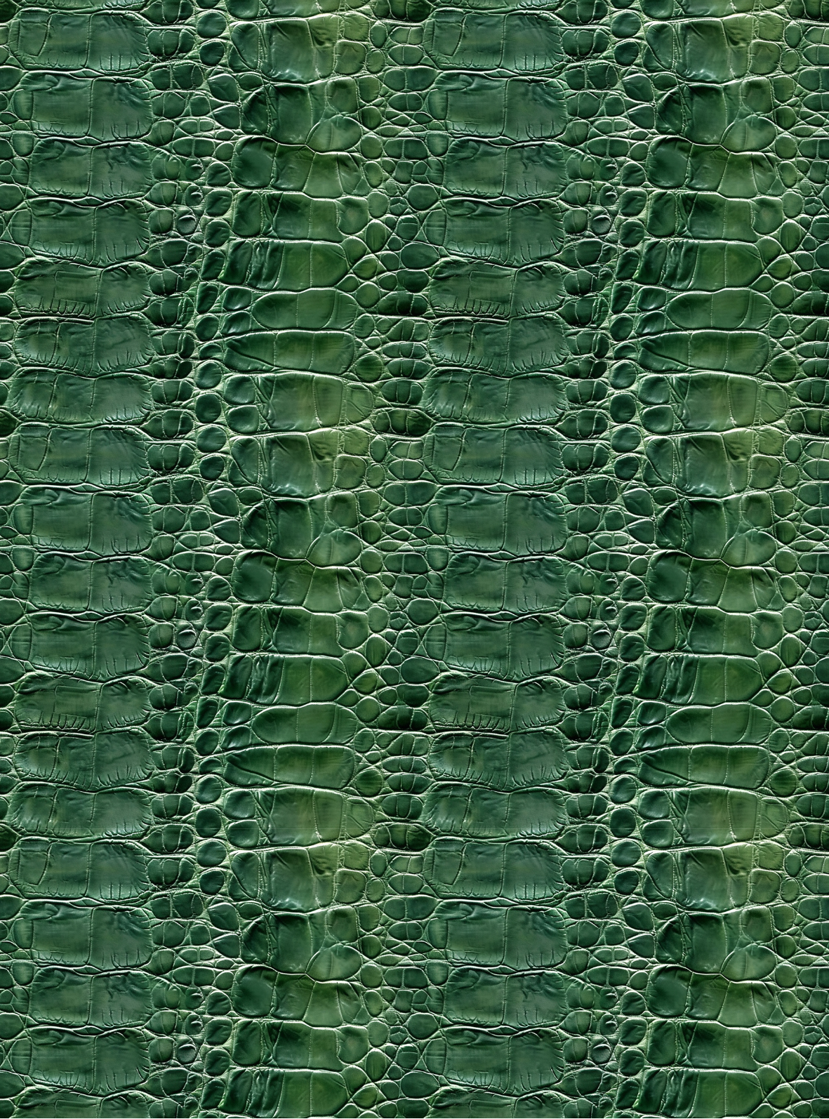 Crocodile transfer paper 17