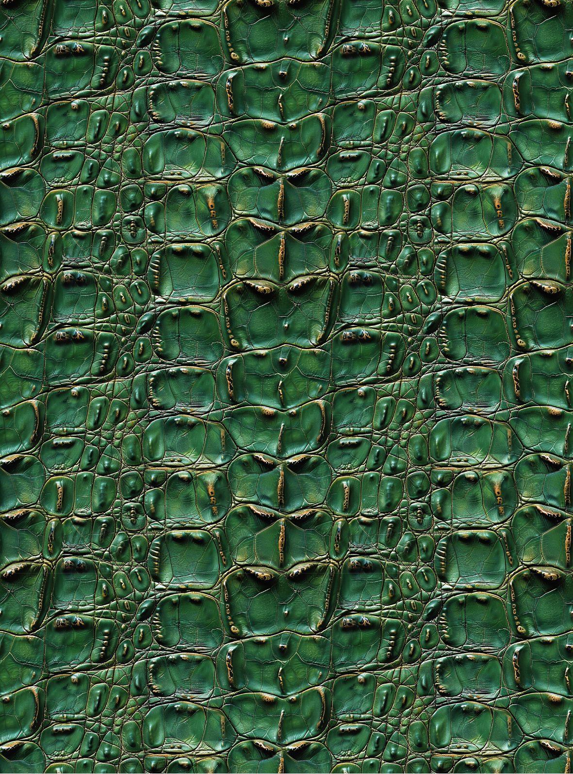 Crocodile transfer paper 18