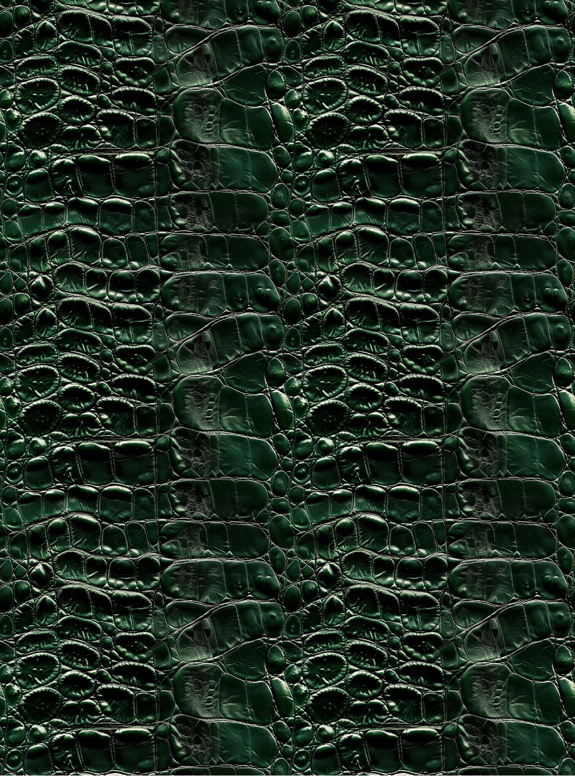 Crocodile transfer paper 22