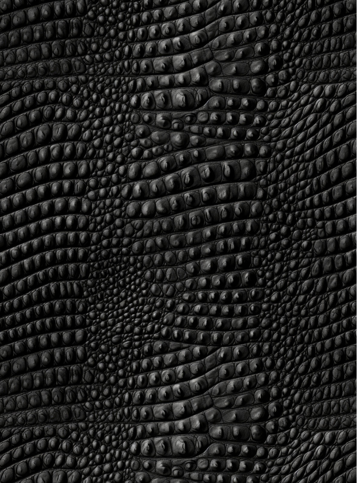 Crocodile transfer paper 25