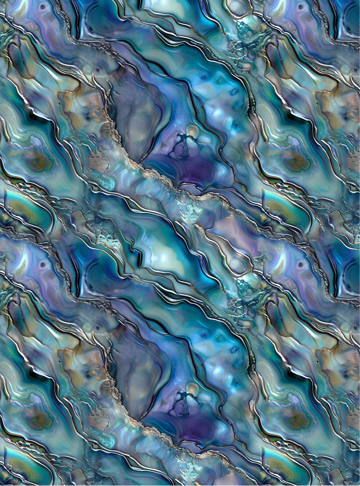 Abalone 11