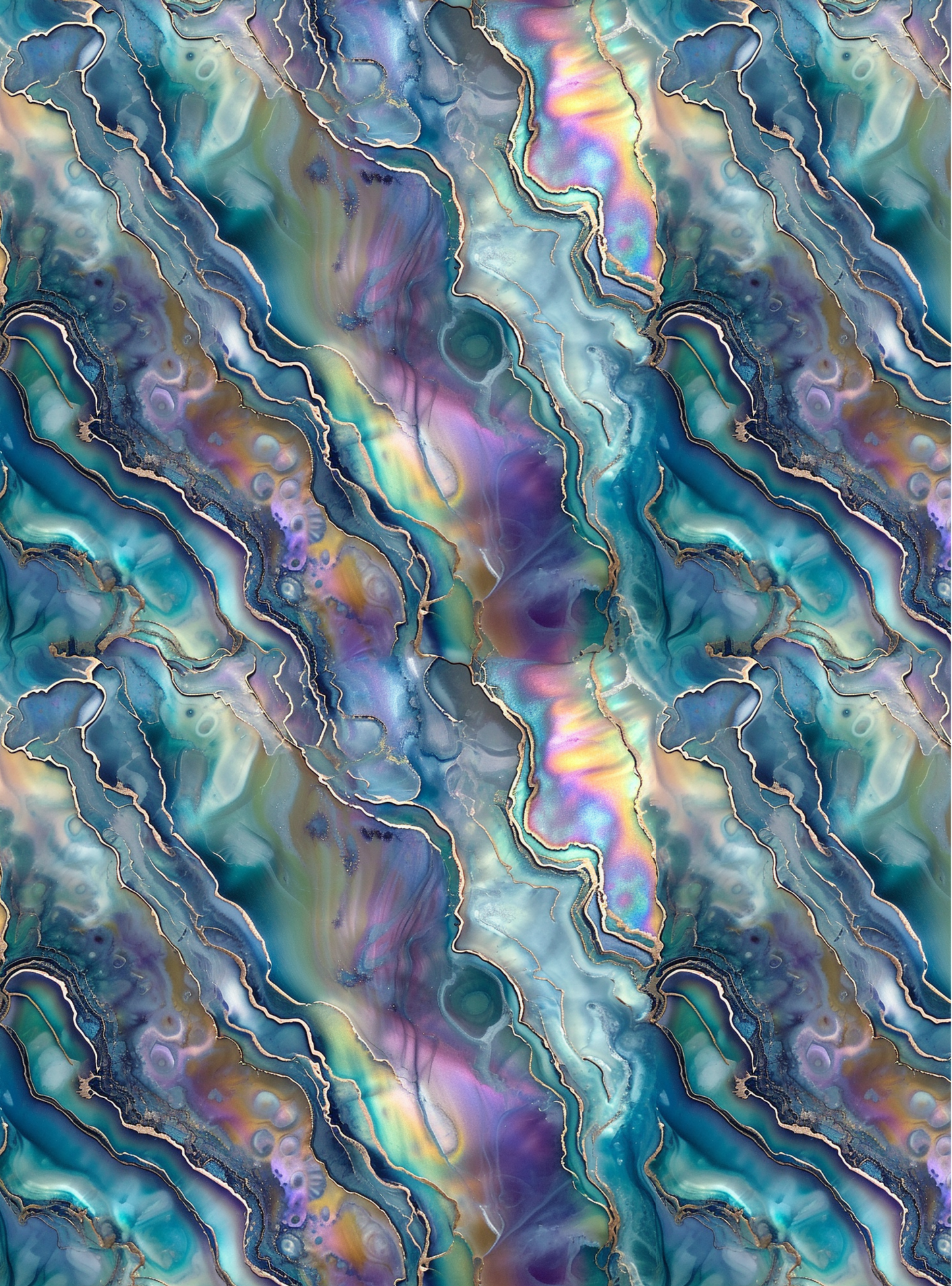 Abalone 4