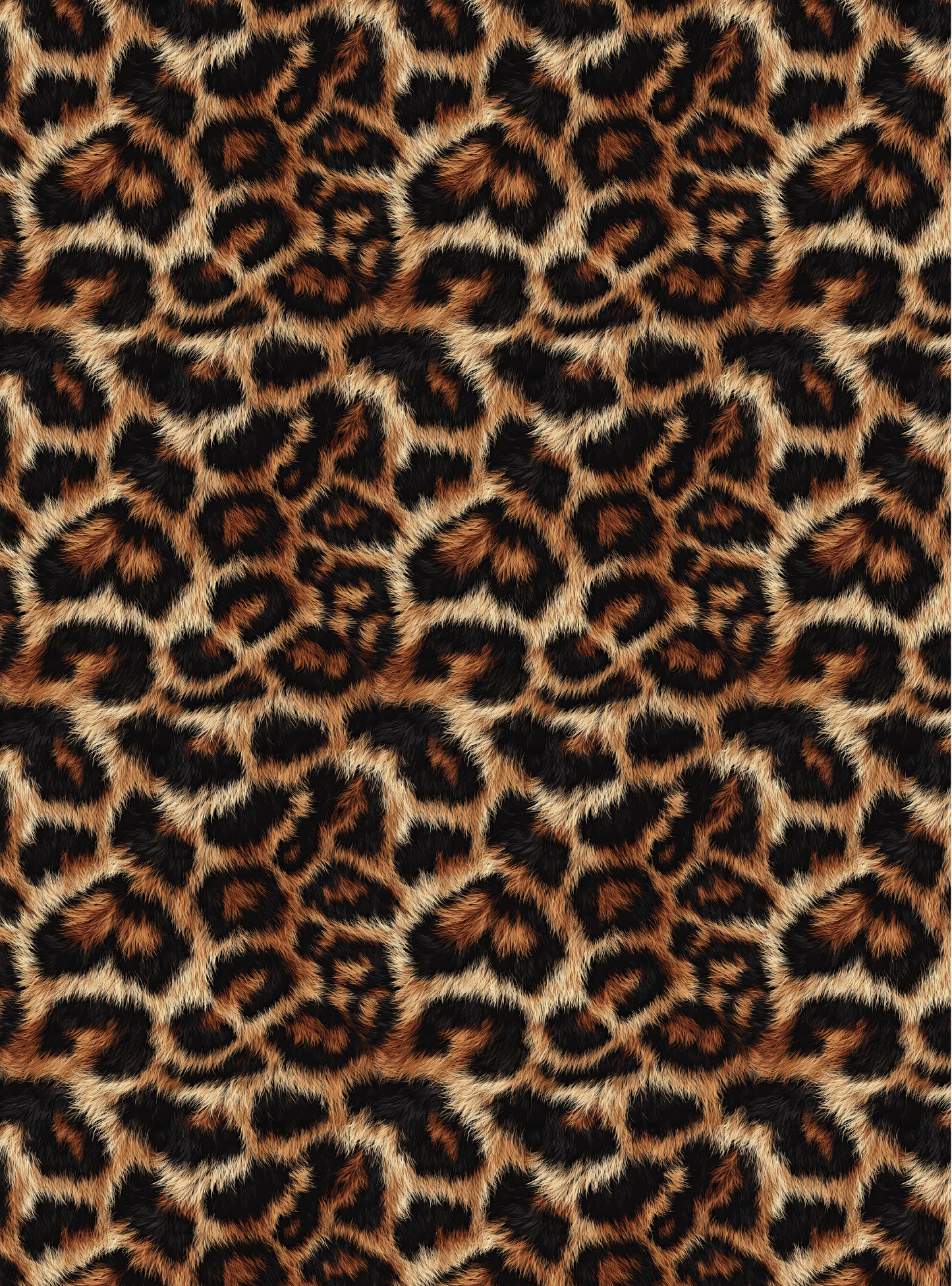 Leopard 6