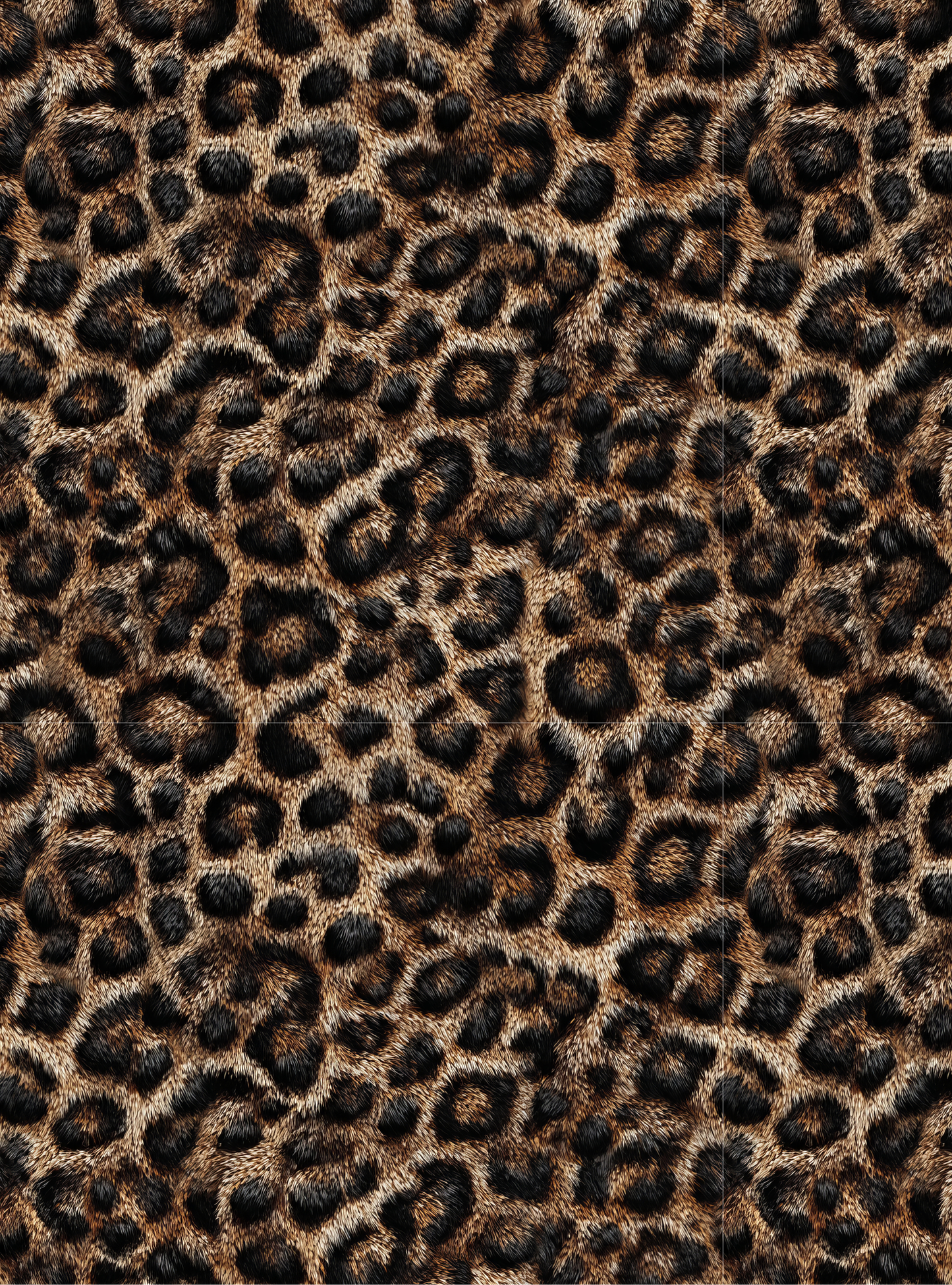 Leopard 13