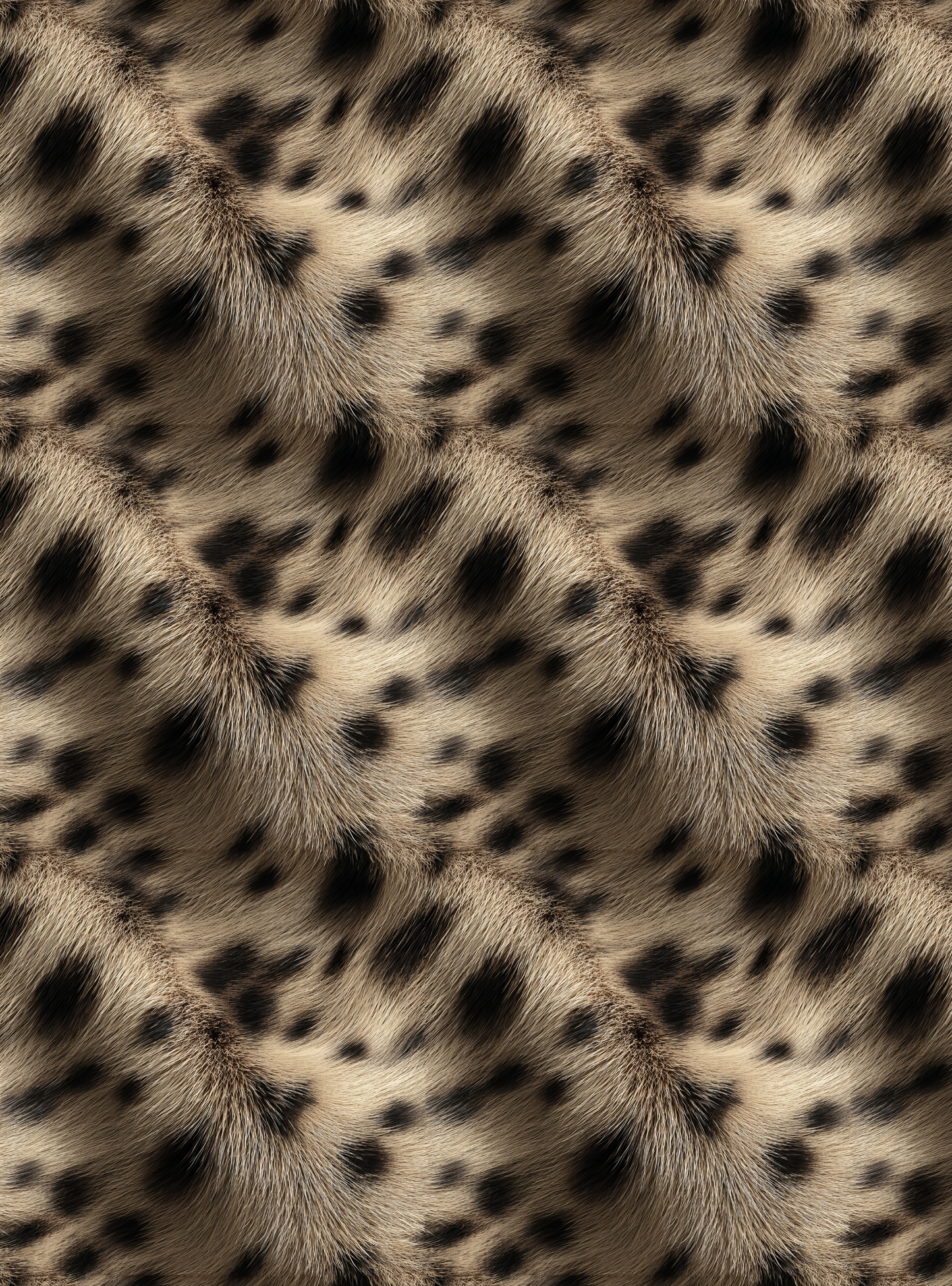 Big cat 3