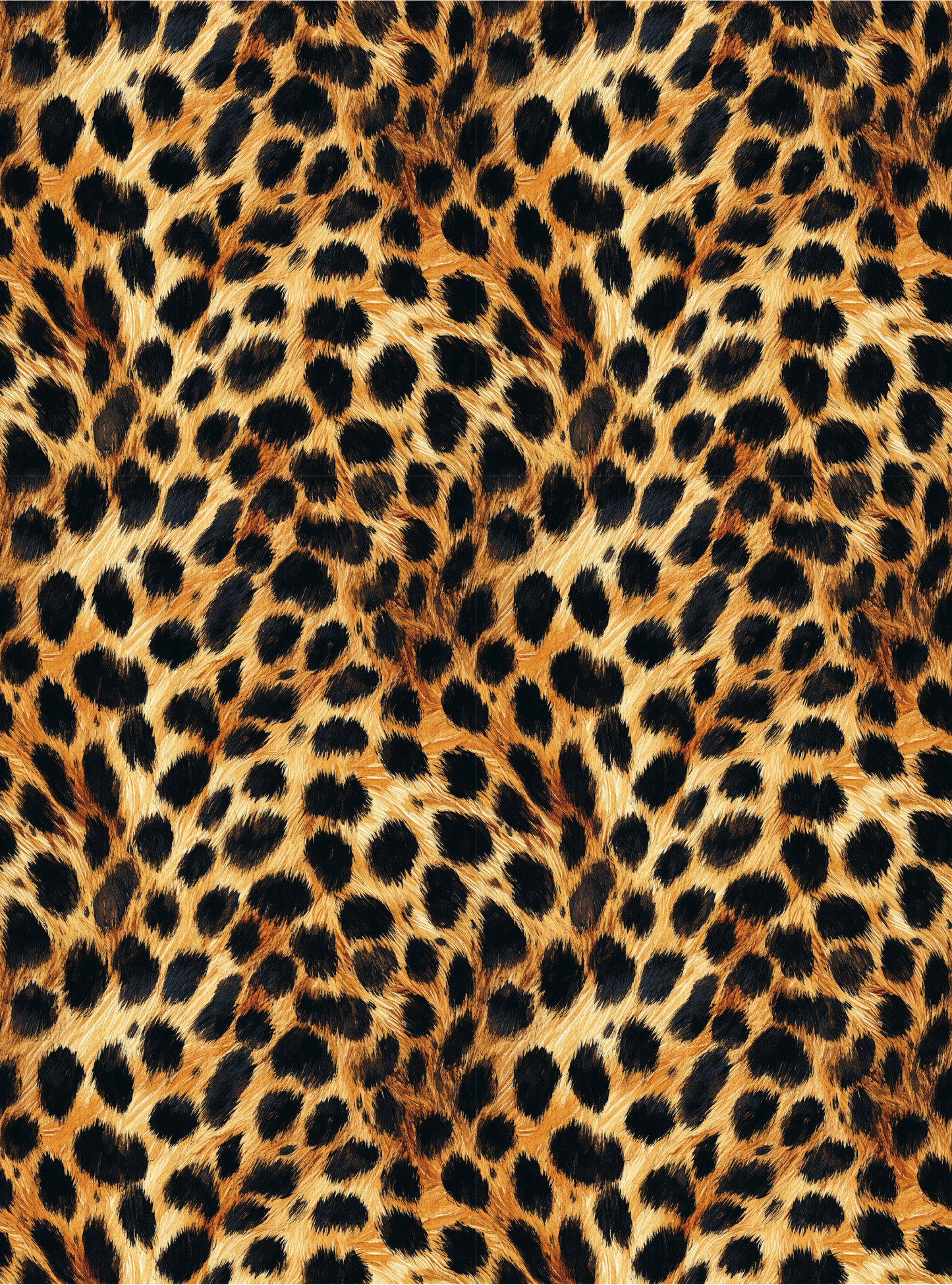 Cheetah 1