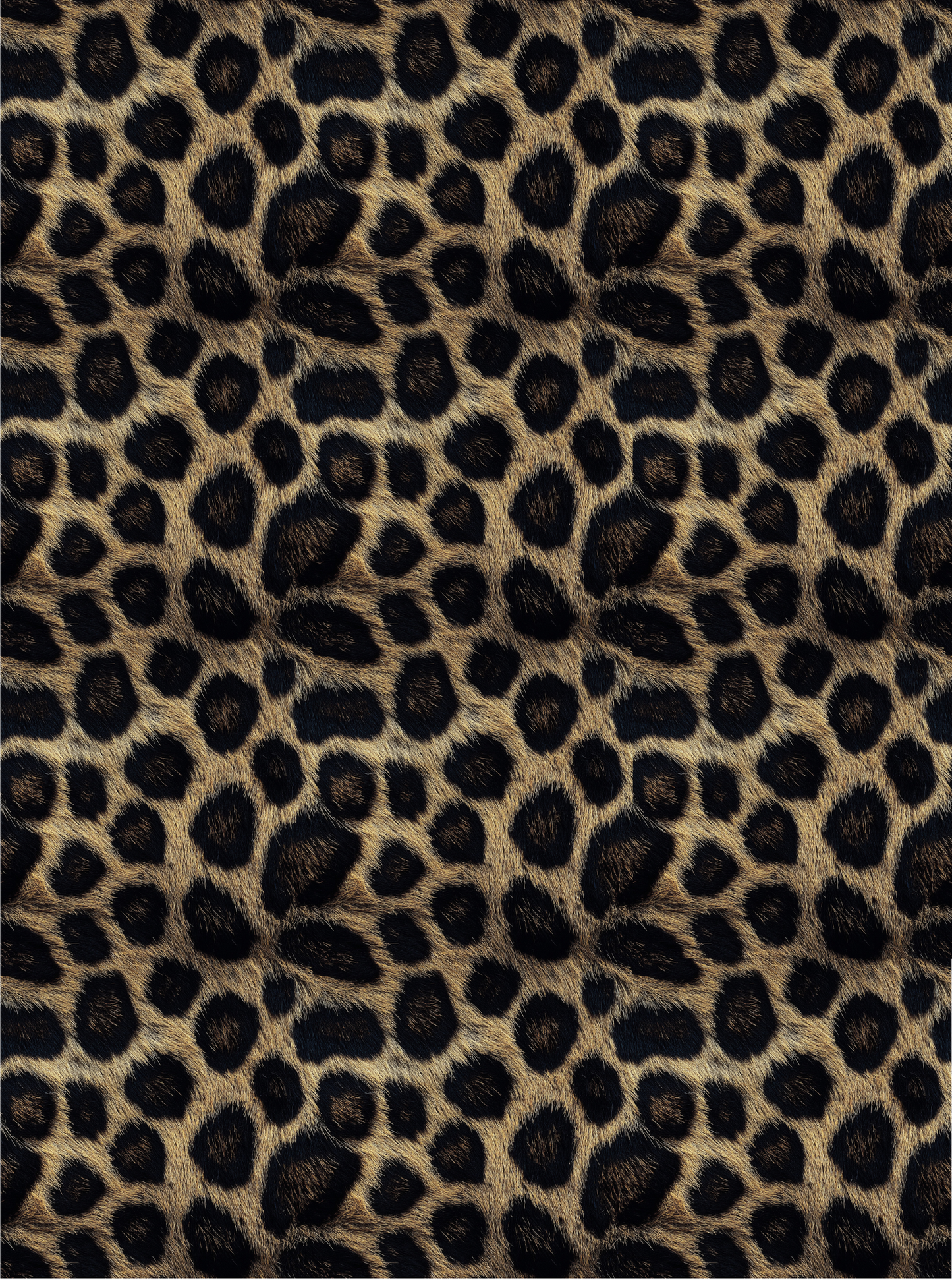 Leopard 2