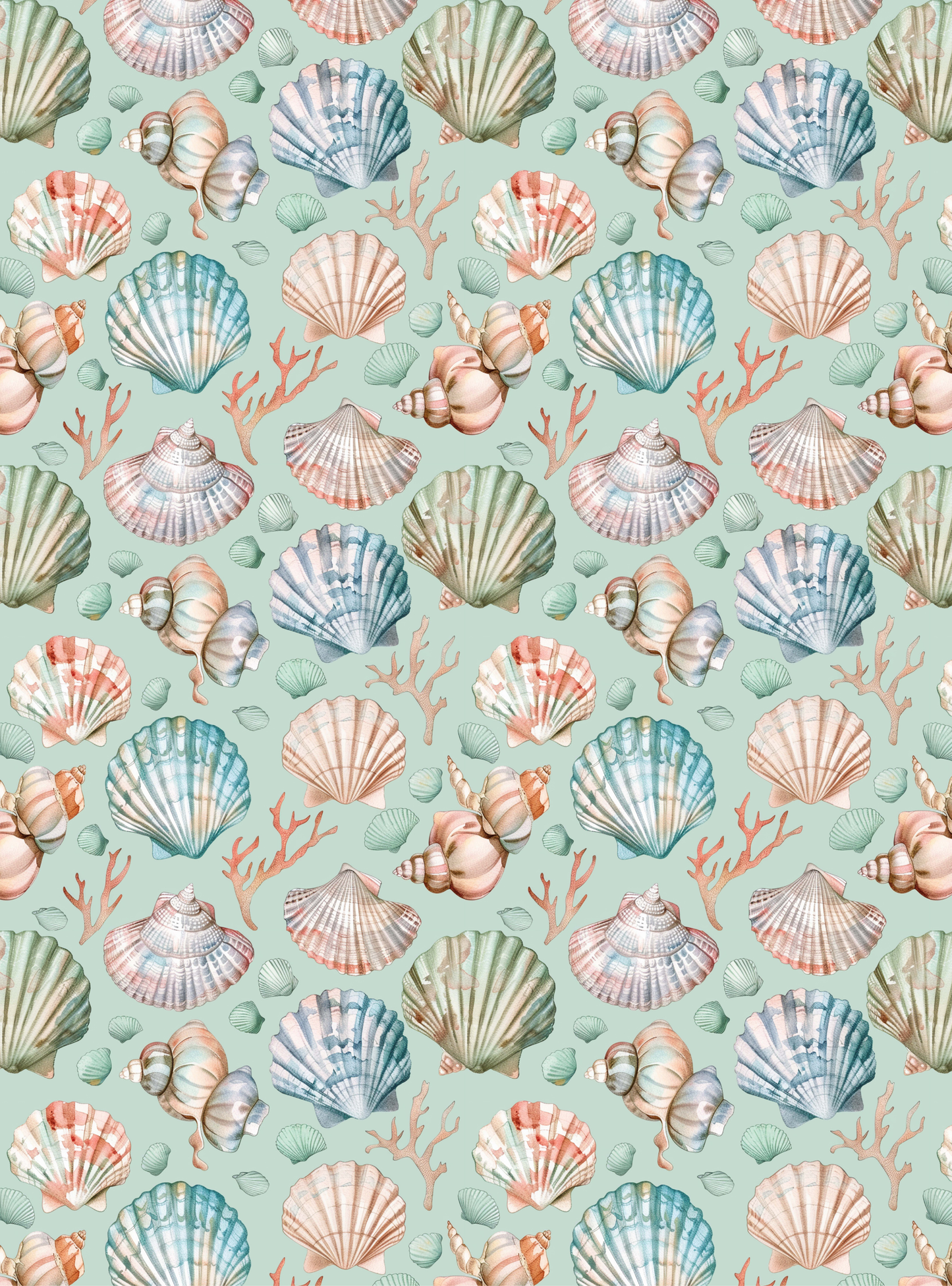 Seashell 1