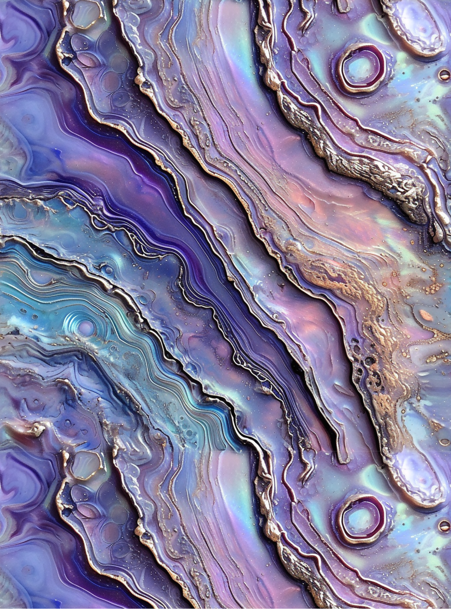 Abalone 12