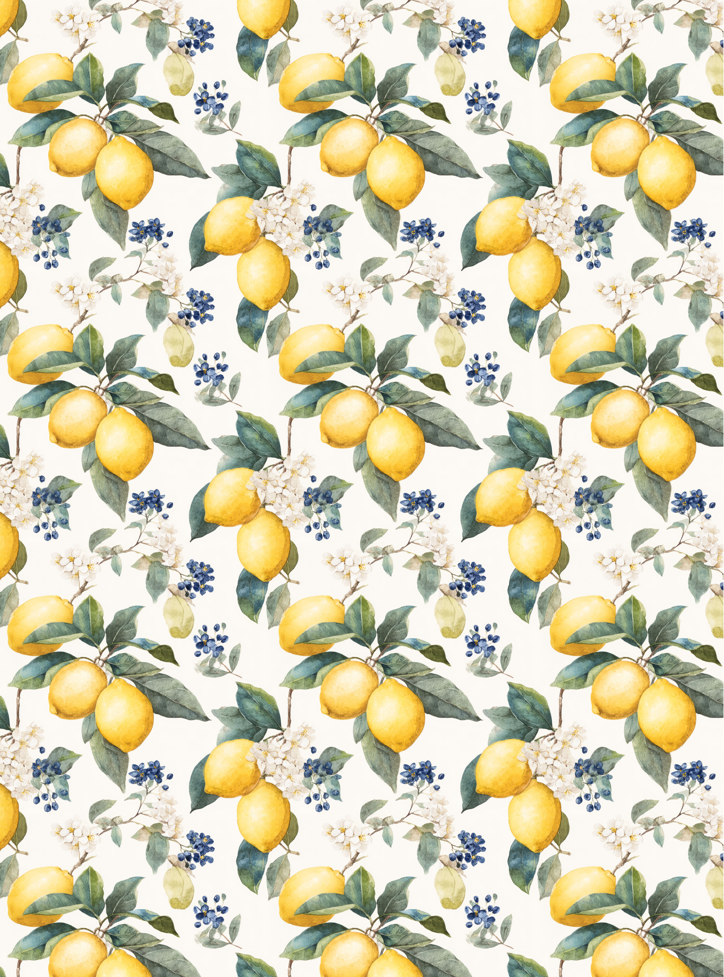 Fruits 21