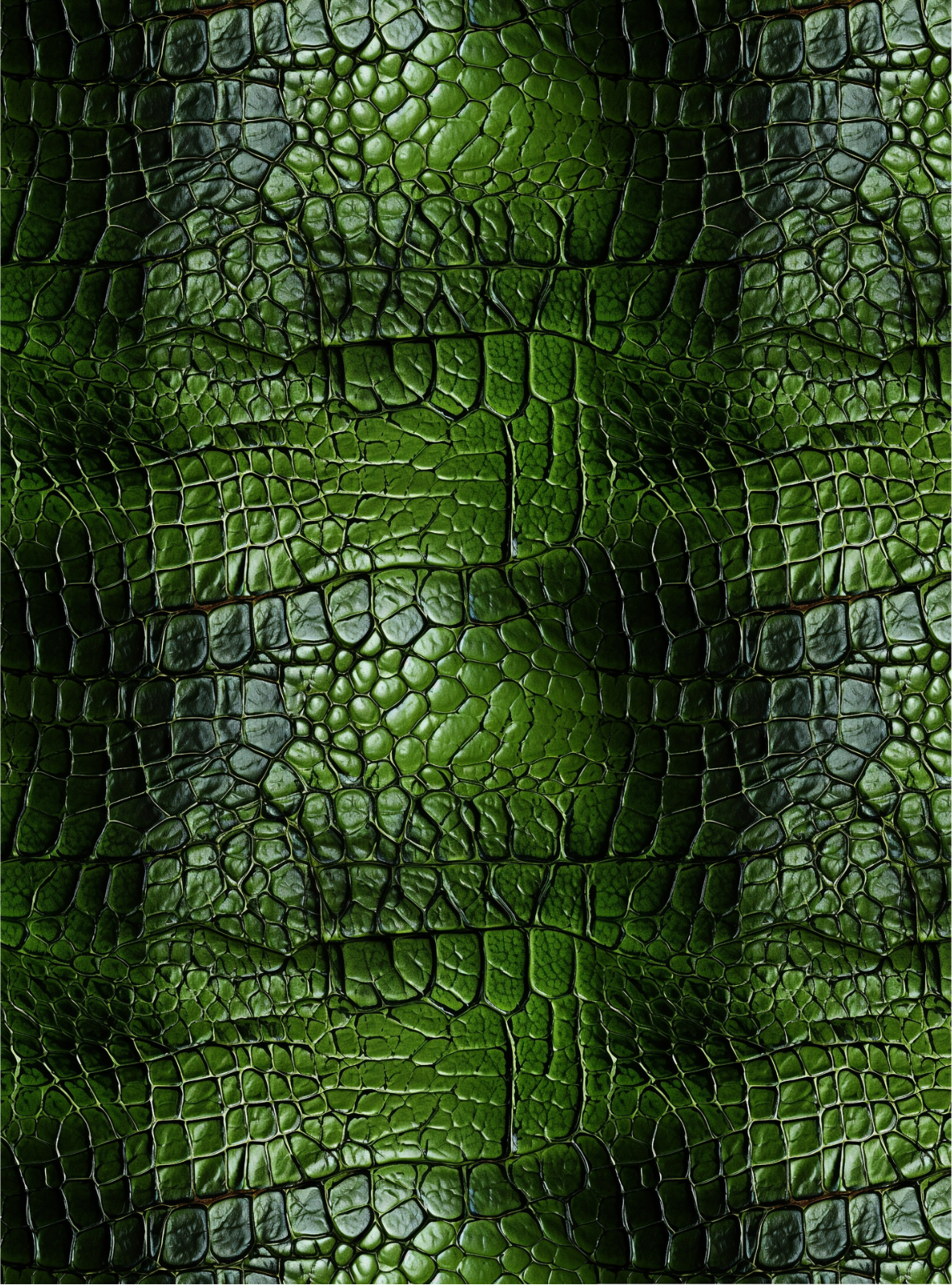 Crocodile transfer paper 7