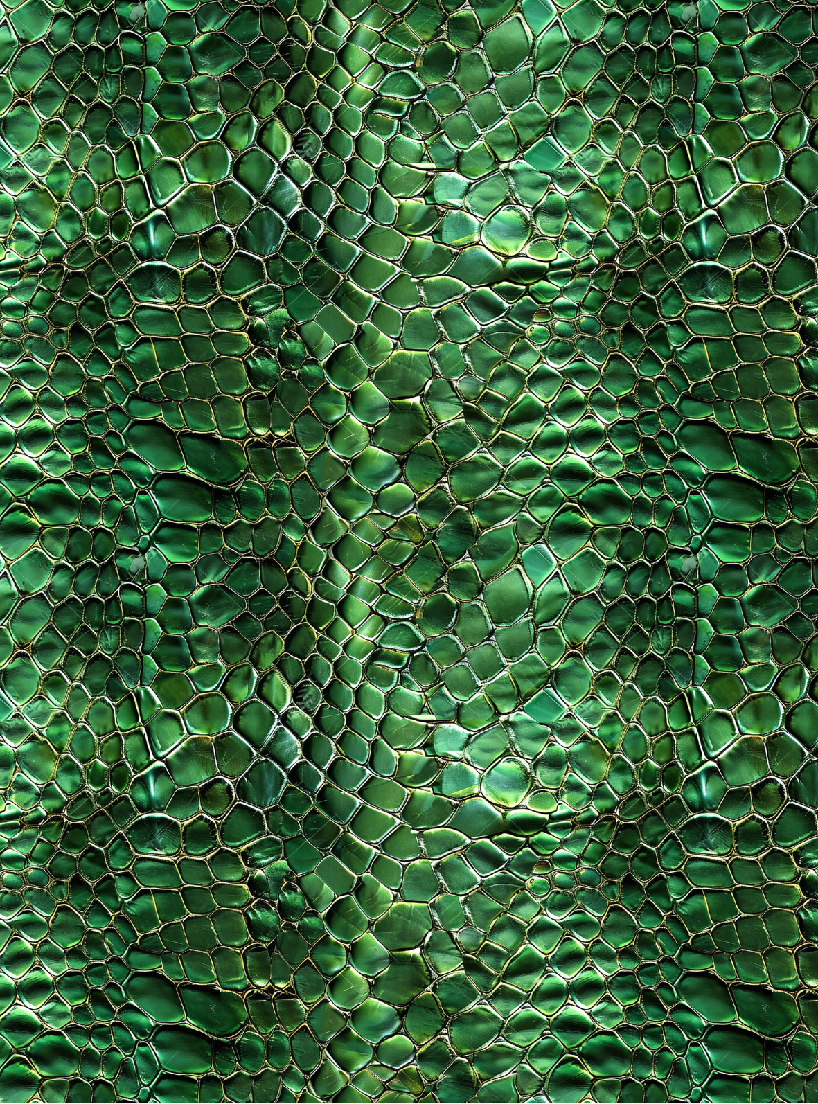 Crocodile transfer paper 9