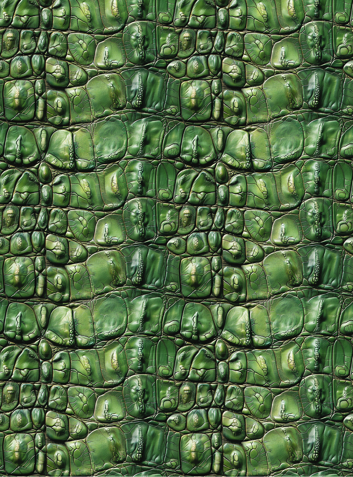 Crocodile transfer paper 13