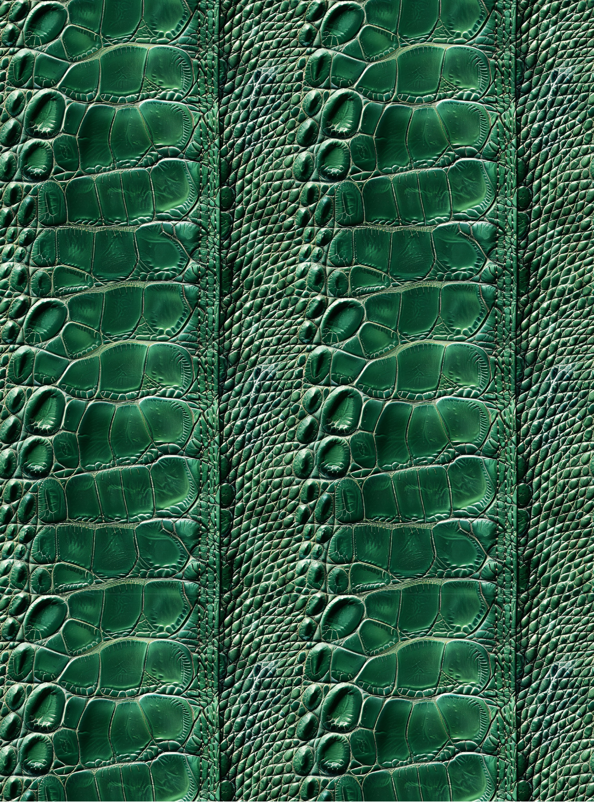 Crocodile transfer paper 15