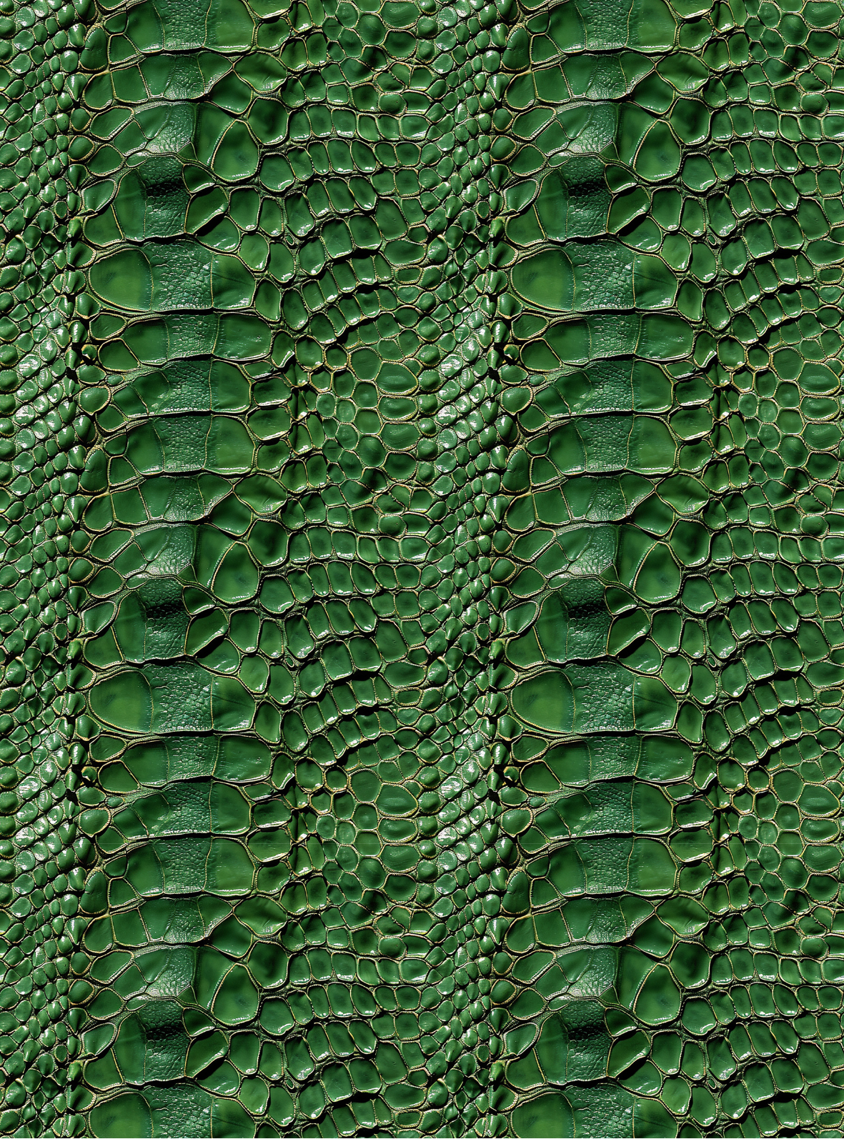 Crocodile transfer paper 19