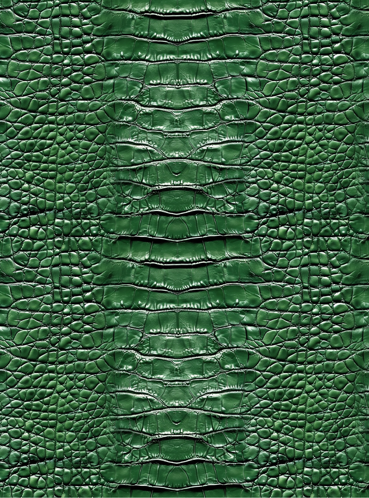 Crocodile transfer paper 21