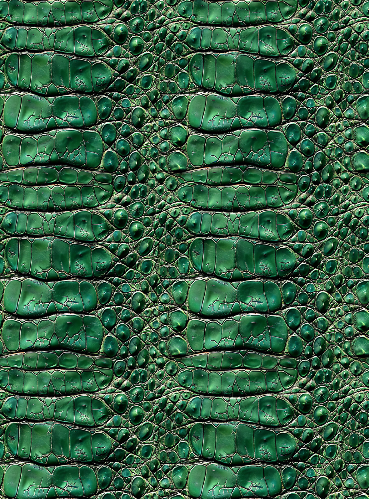 Crocodile transfer paper 24