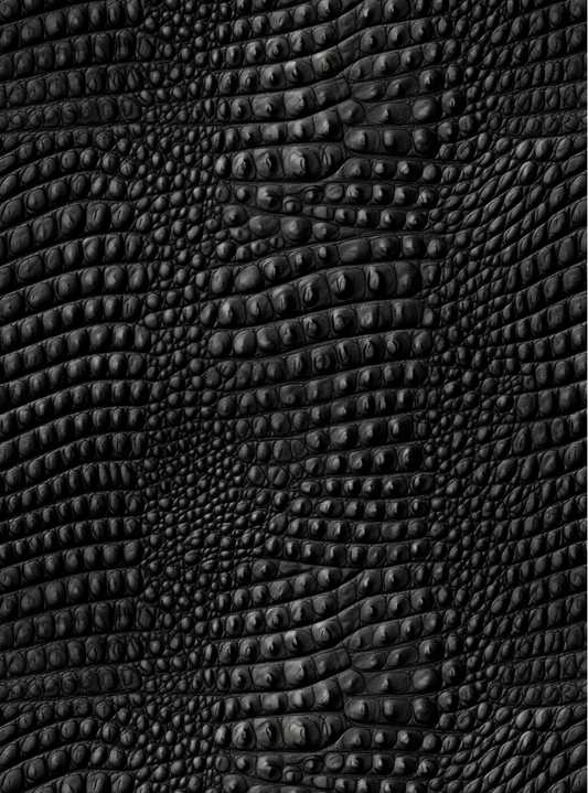 Crocodile transfer paper 25