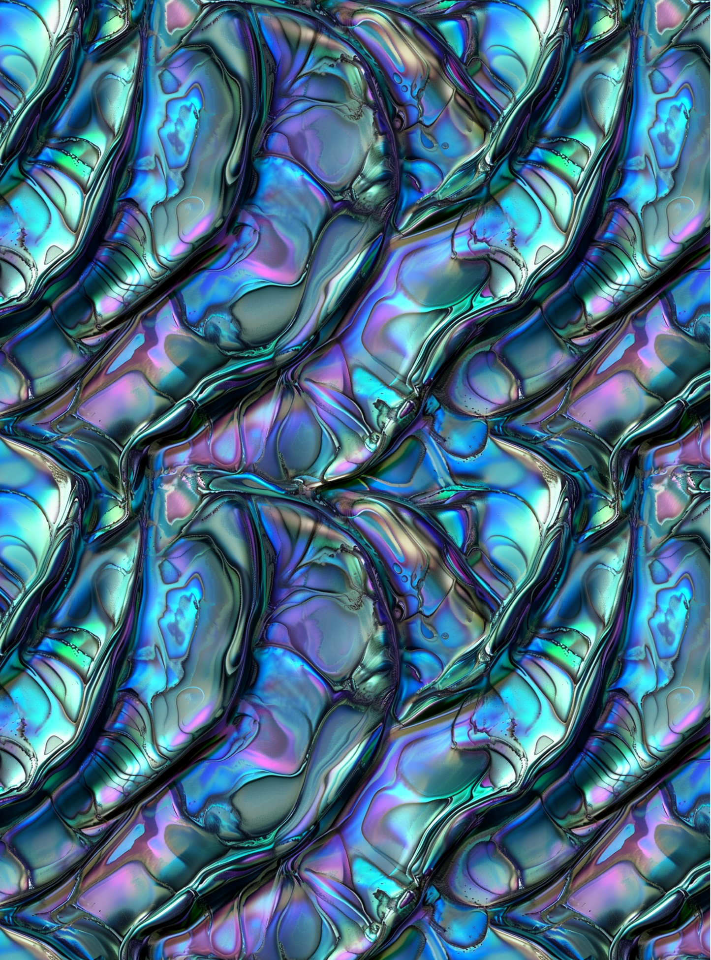 Abalone 2