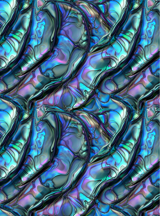 Abalone 2