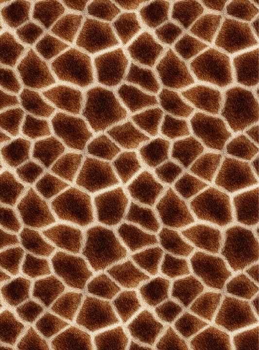 Giraffe 1