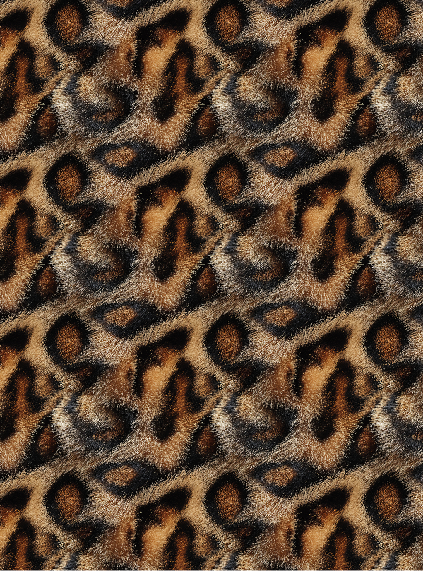 Leopard 5