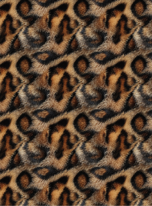 Leopard 5