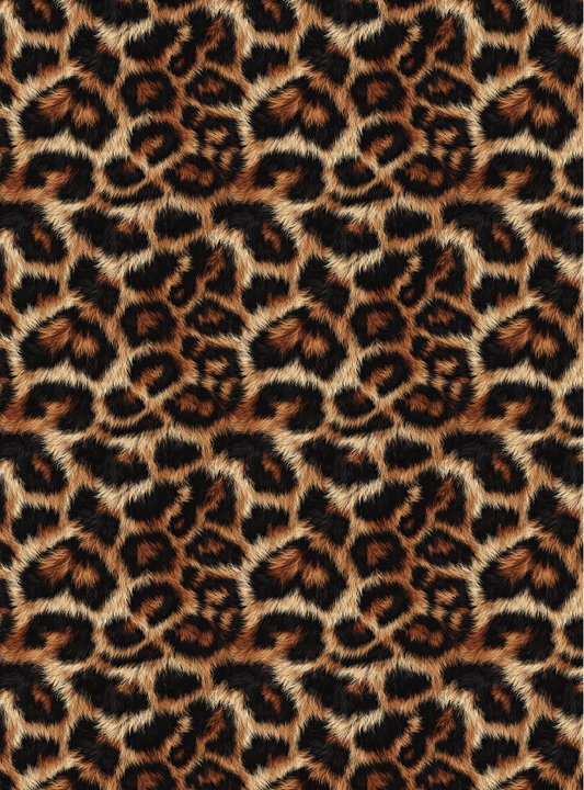 Leopard 6
