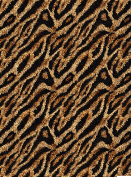 Big cat 1
