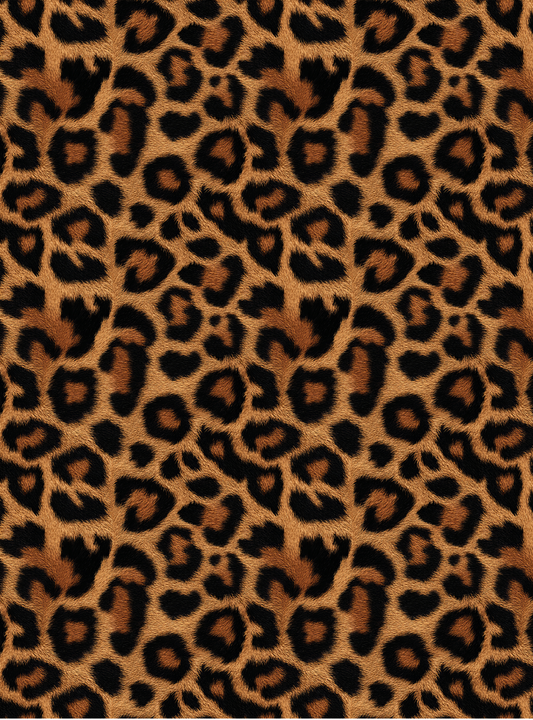 Leopard 7