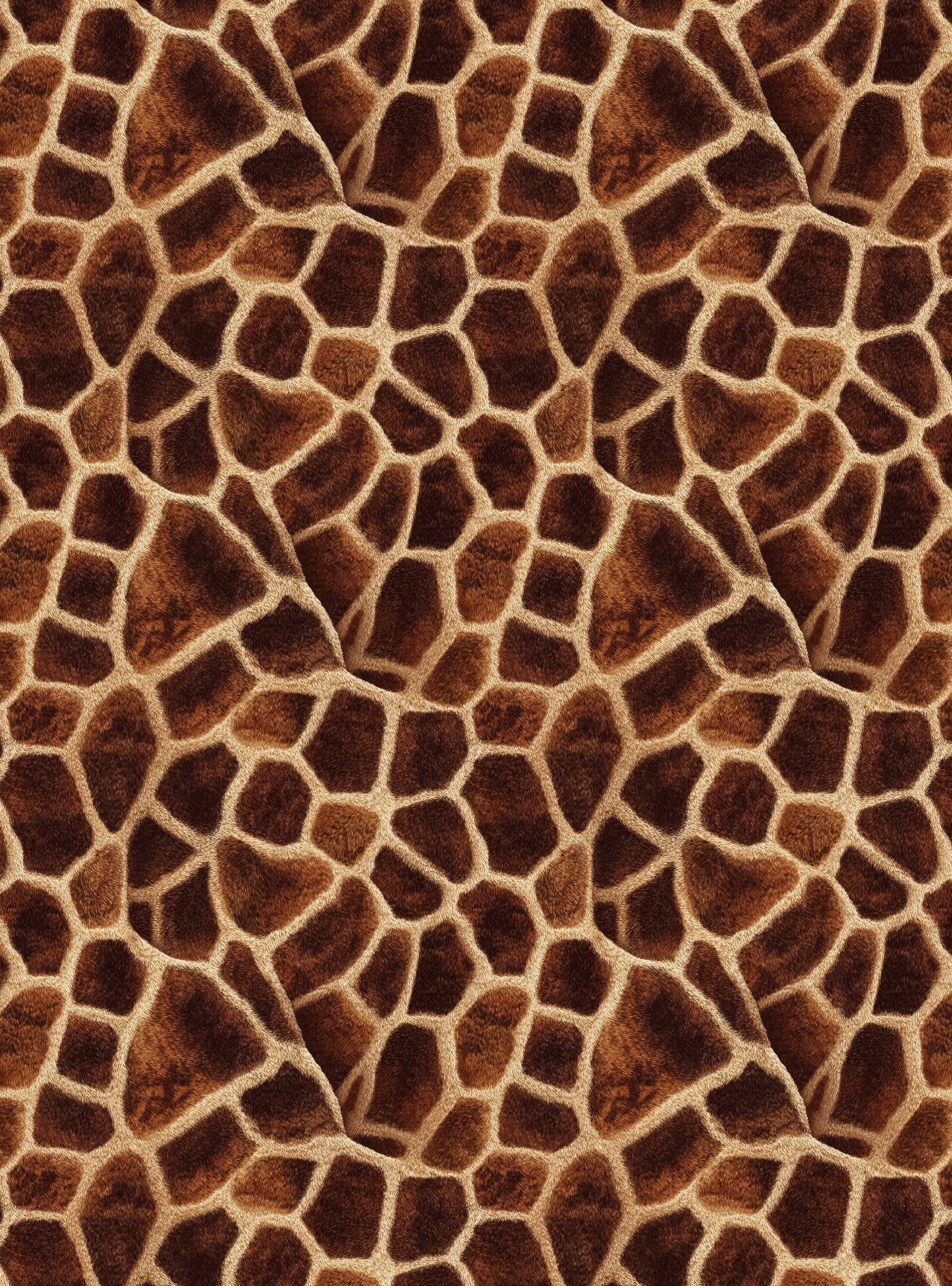 Giraffe 2