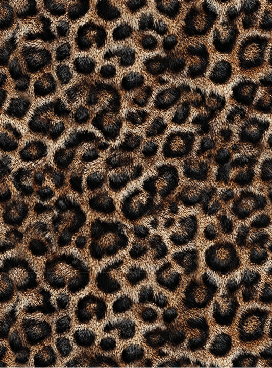 Leopard 14