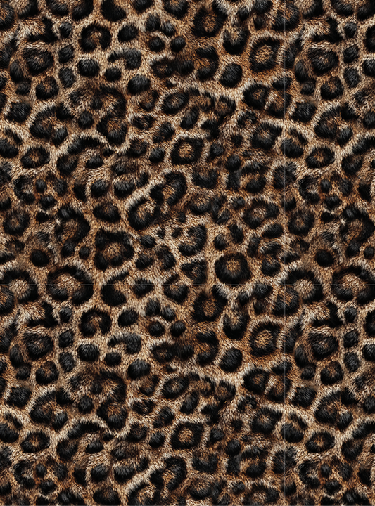 Leopard 13