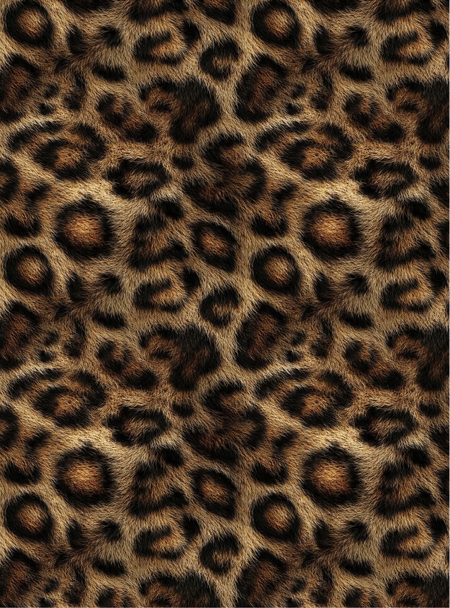 Leopard 11