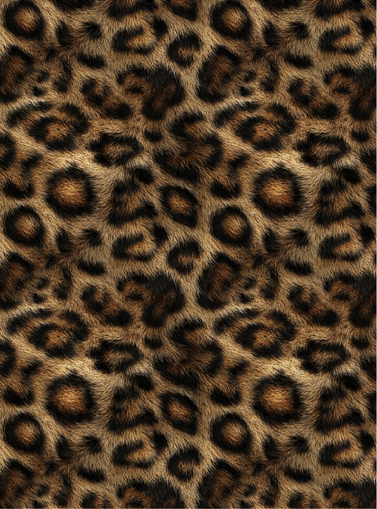 Leopard 11