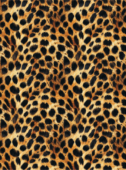 Cheetah 1