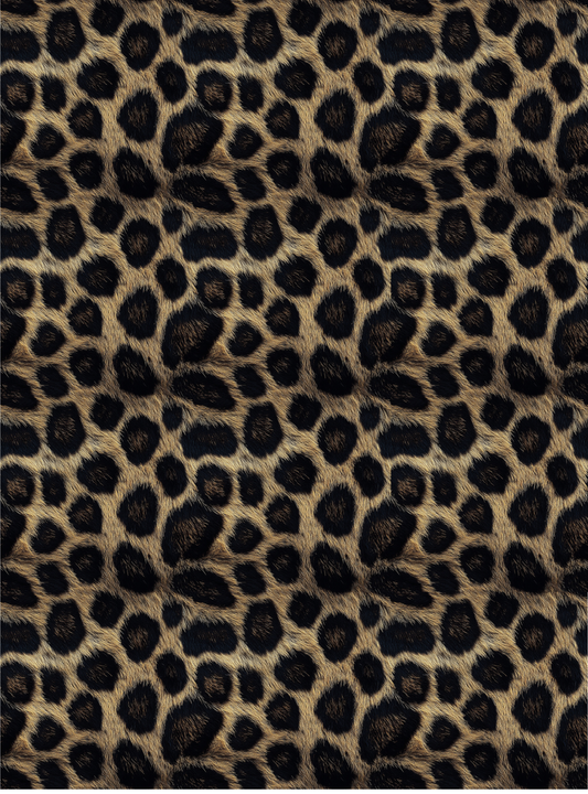 Leopard 2