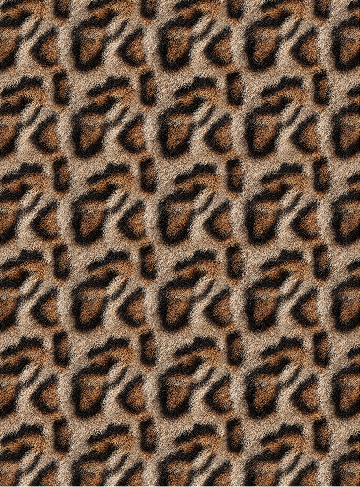 Leopard 3