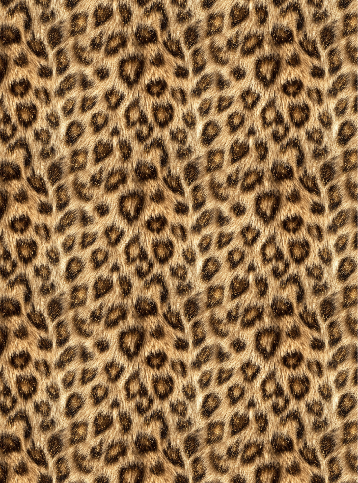 Leopard 21