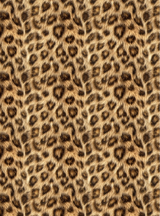 Leopard 21