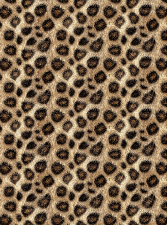 Leopard 20