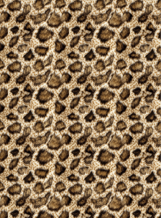 Leopard 19