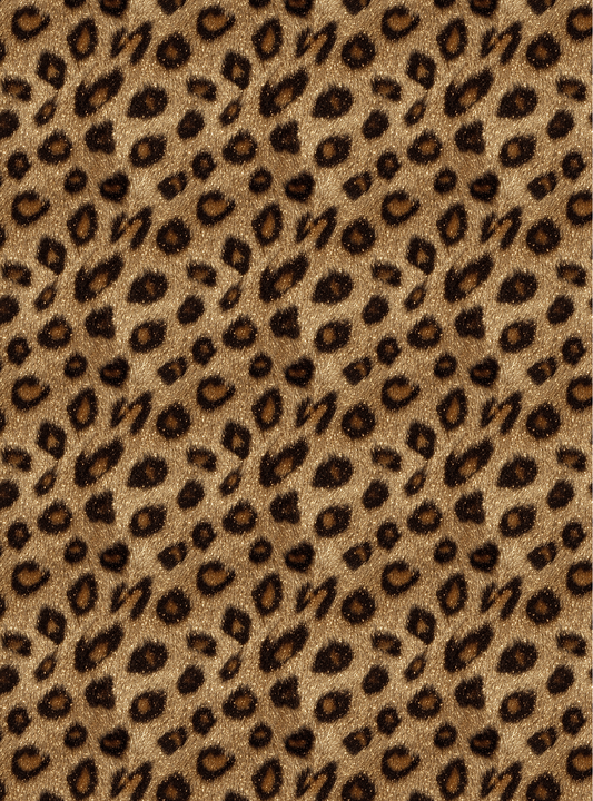 Leopard 18
