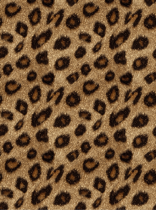 Leopard 17
