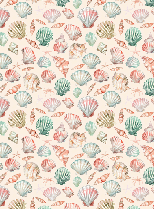 Seashell 2