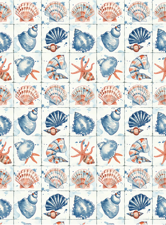 Seashell 5