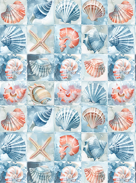 Seashell 4